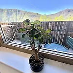 Apartment Old Square House - Hisa Na Starem Trgu
