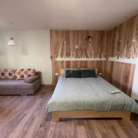 Old Square House - Hisa Na Starem Trgu Tolmin