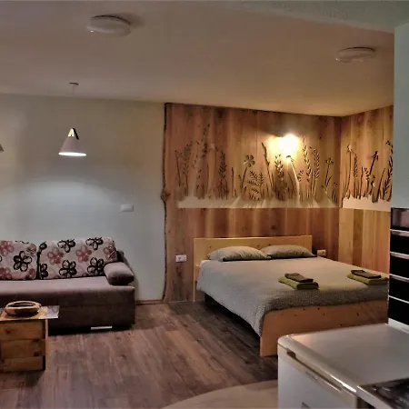 Old Square House - Hisa Na Starem Trgu Apartman