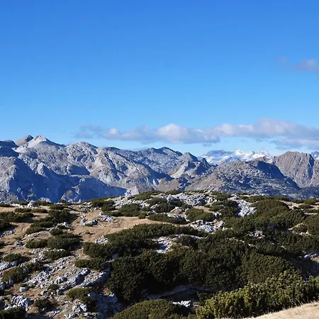 Old Square House - Hisa Na Starem Trgu 托尔明