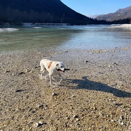 Old Square House - Hisa Na Starem Trgu Apartman