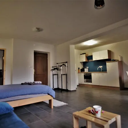 Old Square House - Hisa Na Starem Trgu * 托尔明