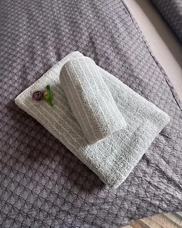 Old Square House - Hisa Na Starem Trgu * טולמין