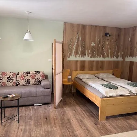 Old Square House - Hisa Na Starem Trgu * טולמין