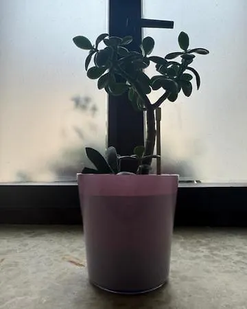 דירה Old Square House - Hisa Na Starem Trgu טולמין