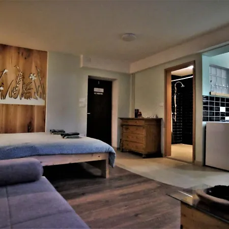 Old Square House - Hisa Na Starem Trgu Apartment