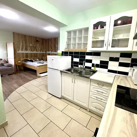 Old Square House - Hisa Na Starem Trgu Apartmán