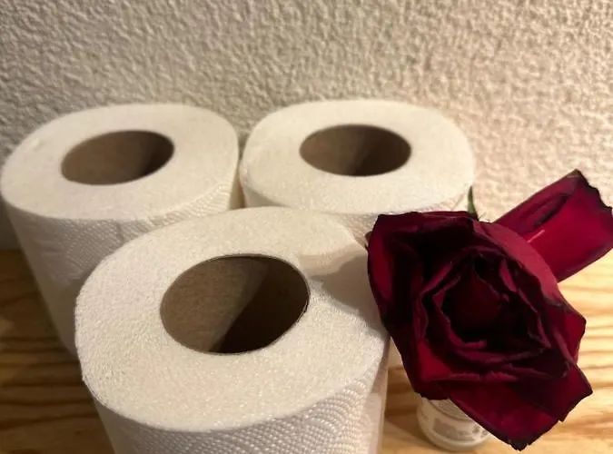 公寓 Old Square House - Hisa Na Starem Trgu