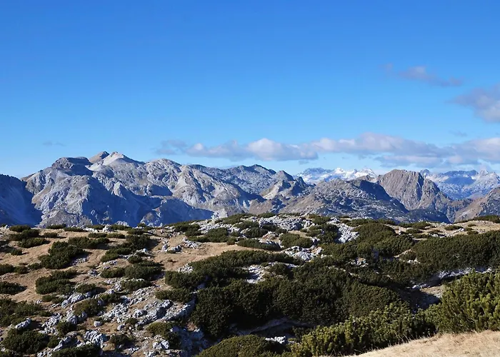 Old Square House - Hisa Na Starem Trgu Tolmin