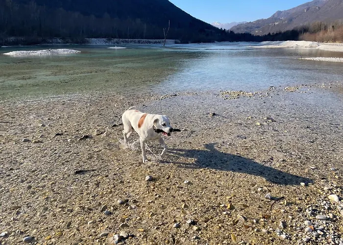 Old Square House - Hisa Na Starem Trgu 公寓