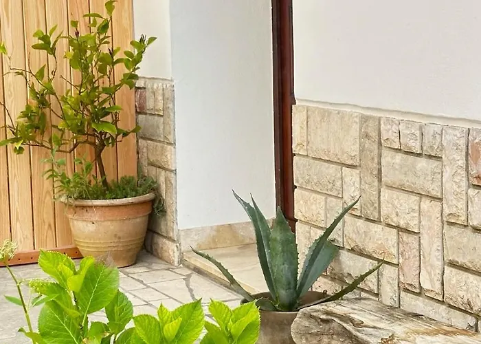 Old Square House - Hisa Na Starem Trgu 托尔明