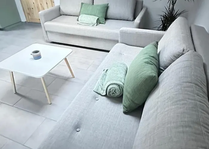 Old Square House - Hisa Na Starem Trgu 公寓