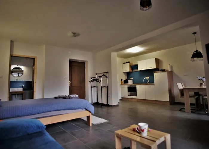 Old Square House - Hisa Na Starem Trgu * 托尔明