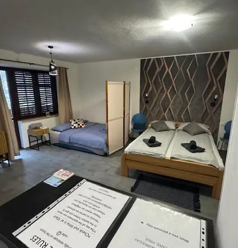 Old Square House - Hisa Na Starem Trgu 公寓