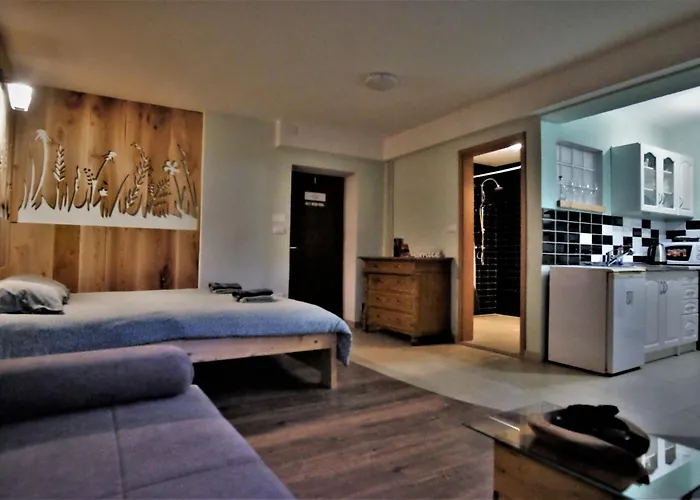 Old Square House - Hisa Na Starem Trgu Apartment